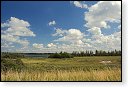 slikken van de heen natuurgebied natuur hdr Konikspaarden Uitkijktoren schotse hooglanders natuurmonumenten wisenten
